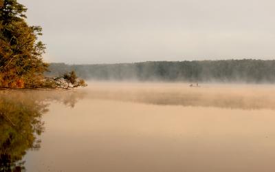 Fischerboot im Nebel